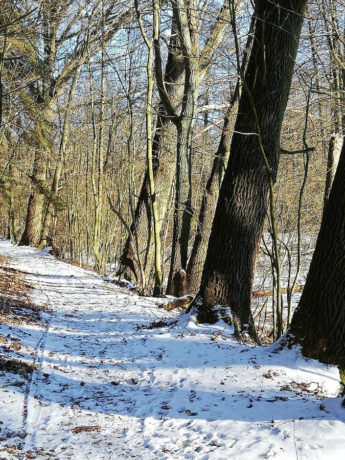 Zur Alten Eiche Stepenitz Eksteriør billede
